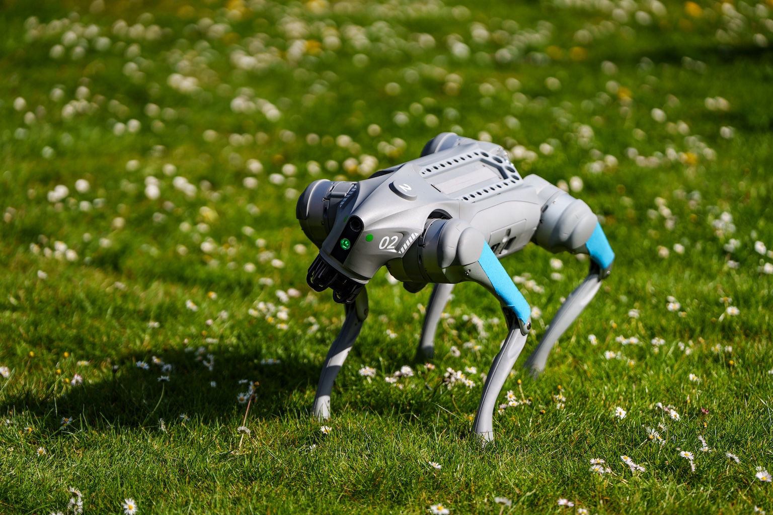 Robothond huren kopen lenen